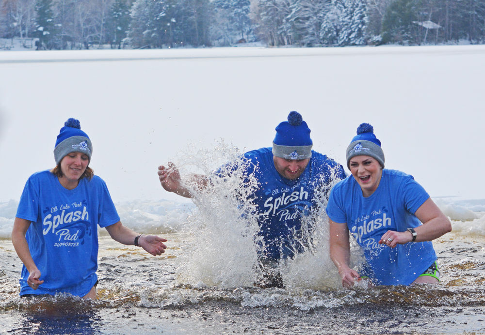 Polar Plunge 2020